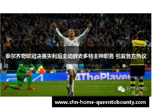 泰尔齐奇欧冠决赛失利后主动辞去多特主帅职务 引发各方热议 泰尔齐奇欧冠决赛失利后主动辞去多特主帅职务 引发各方热议